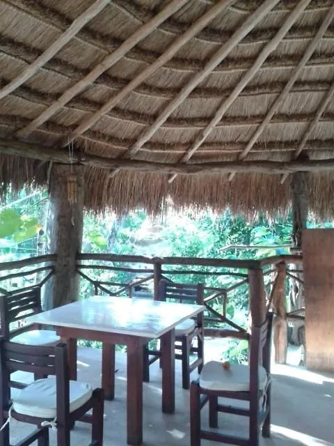 Cabana Zapote En Rancho Los Jaguares Jungle Retreat Τουλούμ