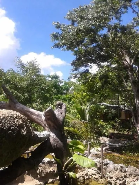 Cabana Zapote En Rancho Los Jaguares Jungle Retreat Τουλούμ 0*,  Μεξικό