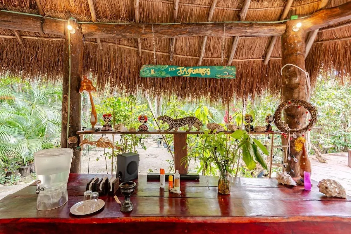 Cabana Zapote En Rancho Los Jaguares Jungle Retreat Τουλούμ Κάμπινγκ