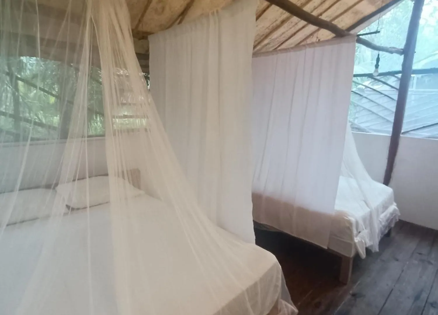 Campsite Cabana Zapote En Rancho Los Jaguares Jungle Retreat Tulum Mexico