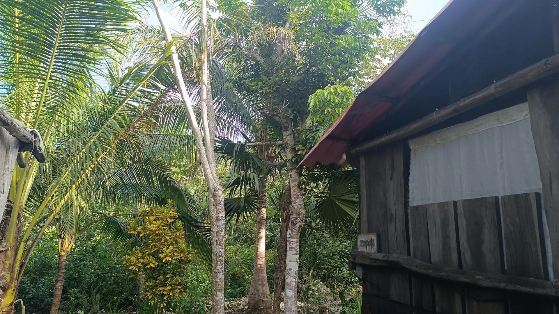 Cabana Zapote En Rancho Los Jaguares Jungle Retreat Tulum