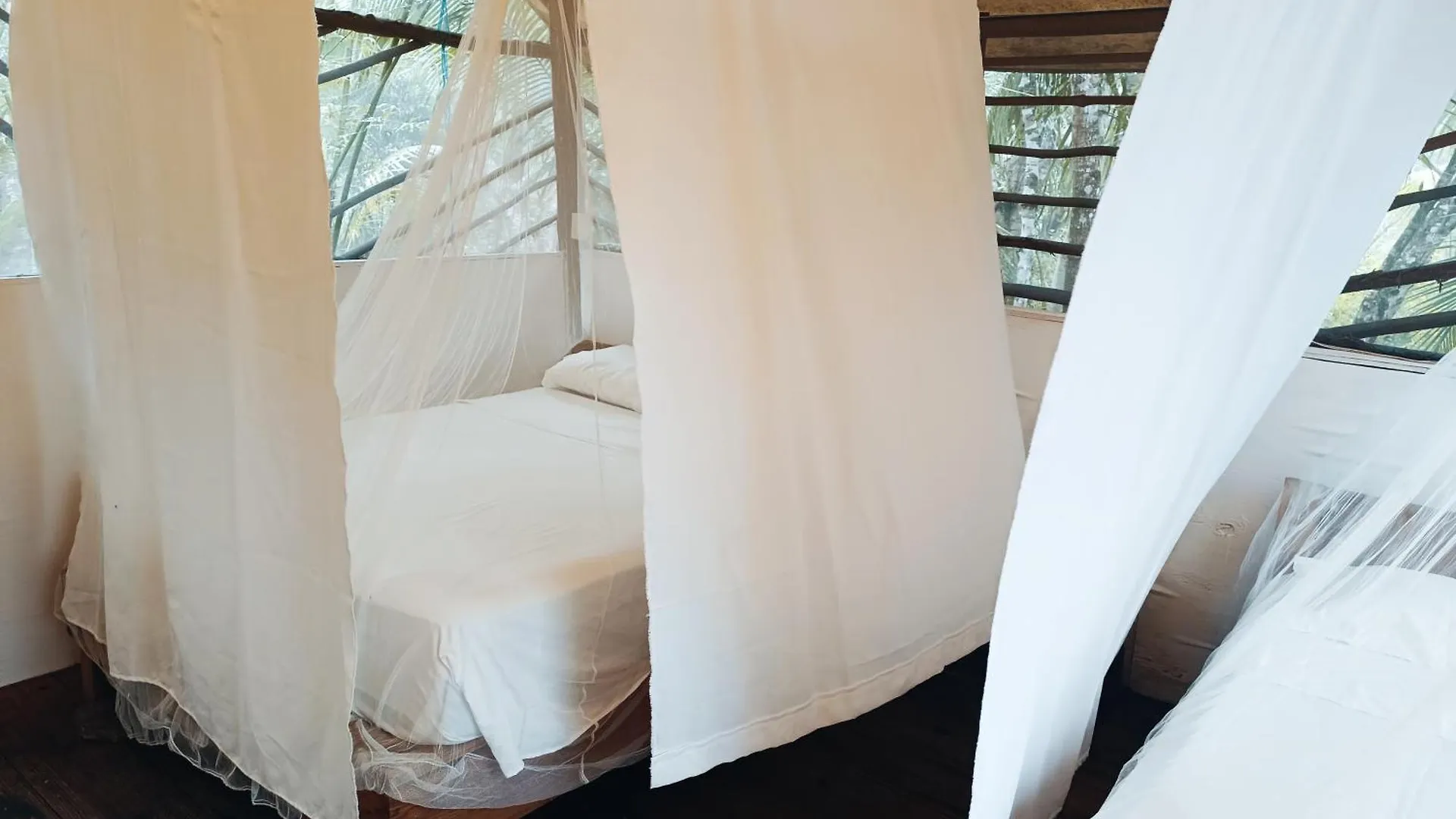 Campsite Cabana Zapote En Rancho Los Jaguares Jungle Retreat Tulum
