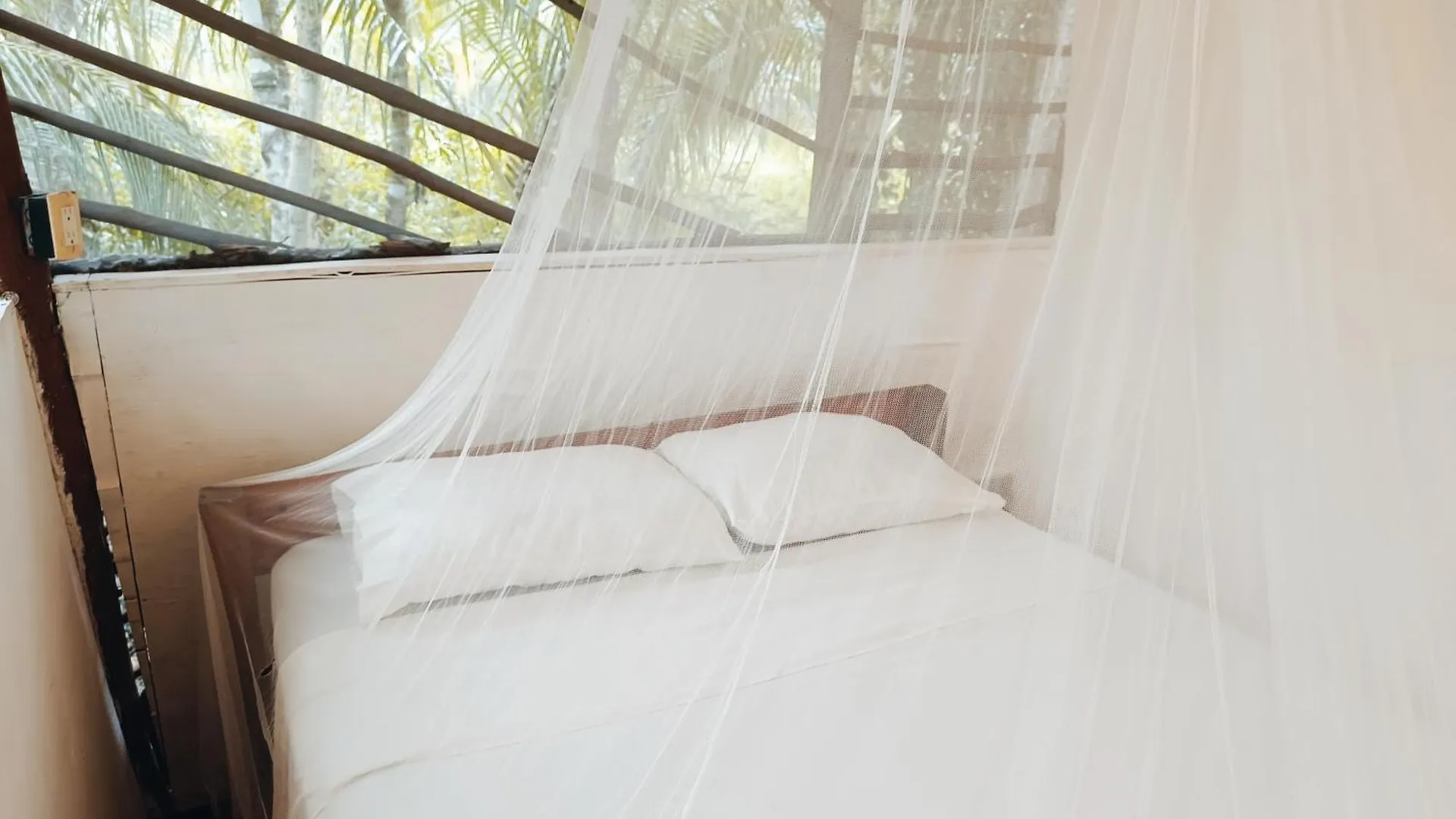 Cabana Zapote En Rancho Los Jaguares Jungle Retreat Tulum Campsite