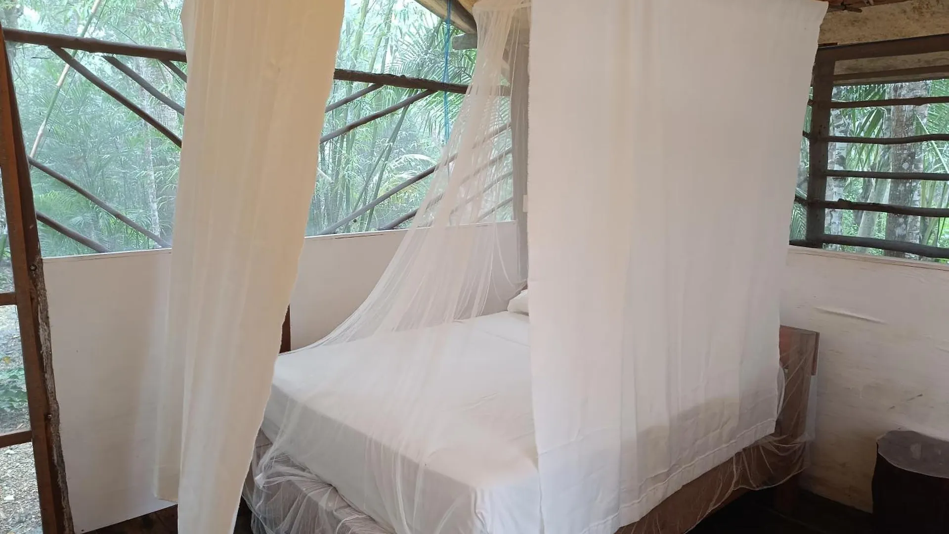 Campsite Cabana Zapote En Rancho Los Jaguares Jungle Retreat Tulum Mexico