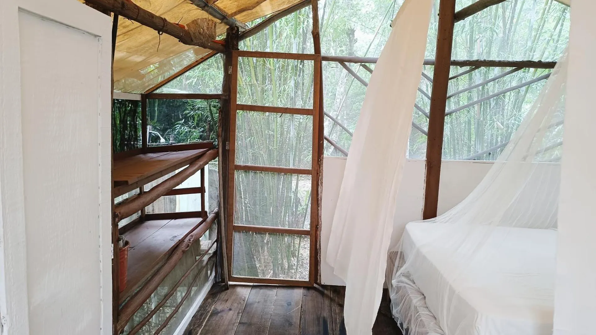 Cabana Zapote En Rancho Los Jaguares Jungle Retreat Tulum Mexico