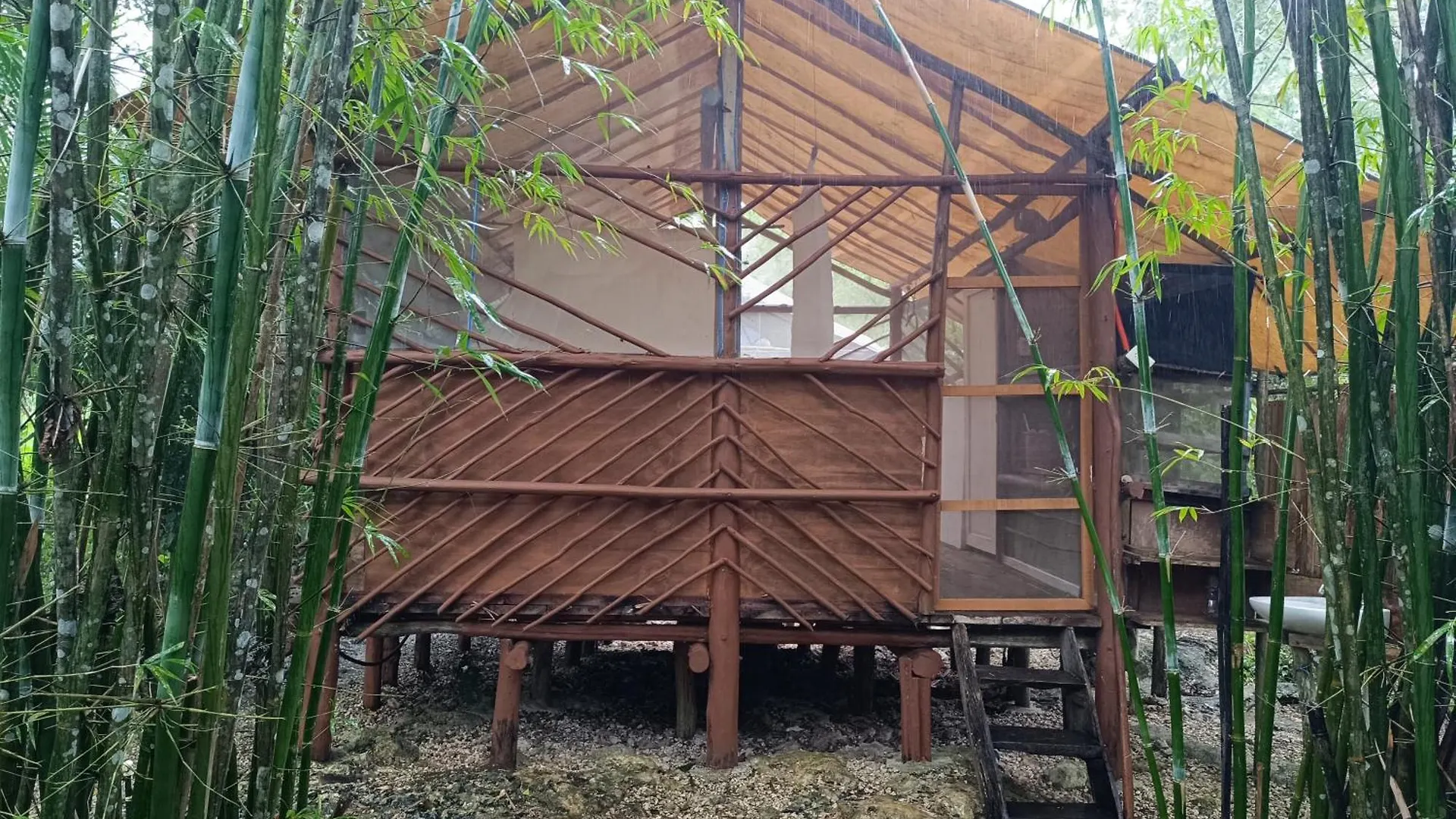 Cabana Zapote En Rancho Los Jaguares Jungle Retreat تولوم المكسيك