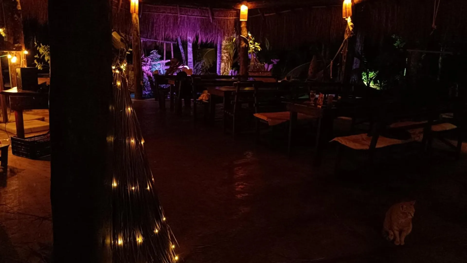 Campsite Cabana Zapote En Rancho Los Jaguares Jungle Retreat Tulum