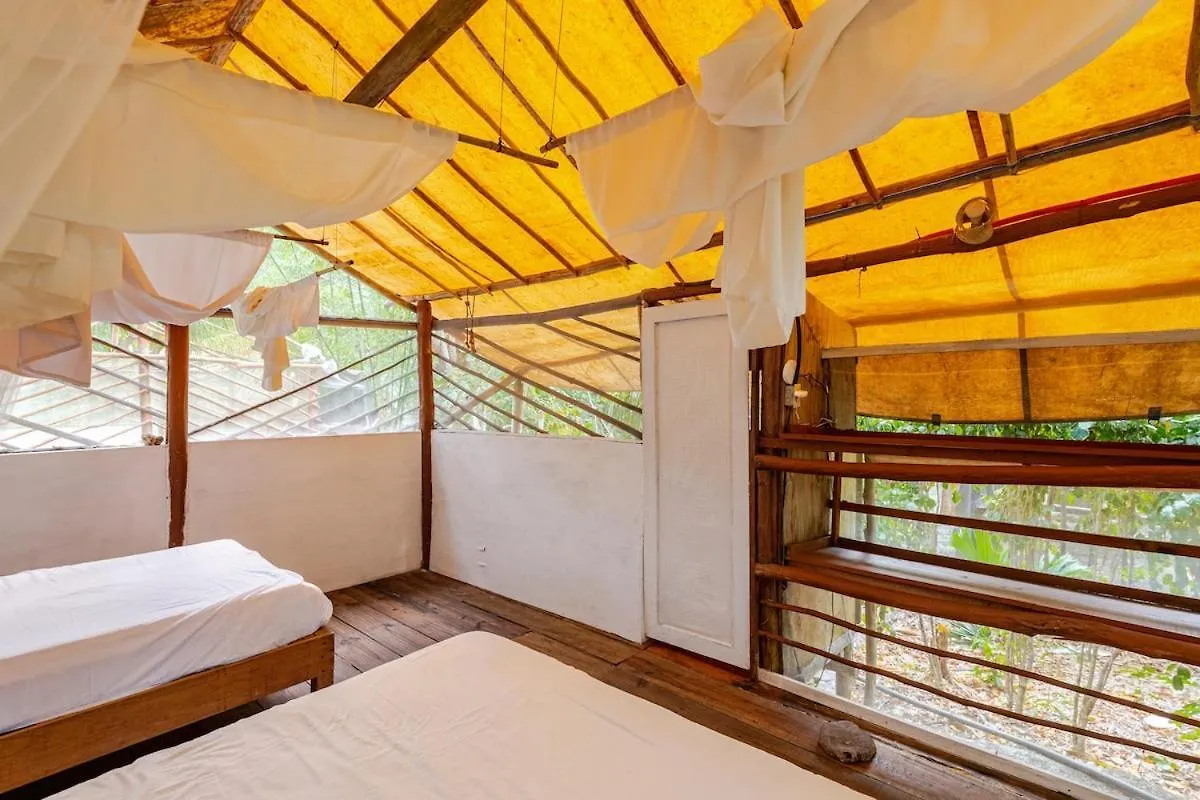 Cabana Zapote En Rancho Los Jaguares Jungle Retreat Tulum Mexico