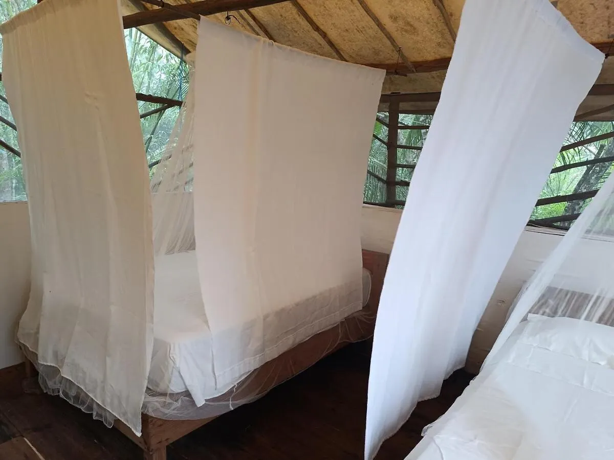 Campsite Cabana Zapote En Rancho Los Jaguares Jungle Retreat Tulum