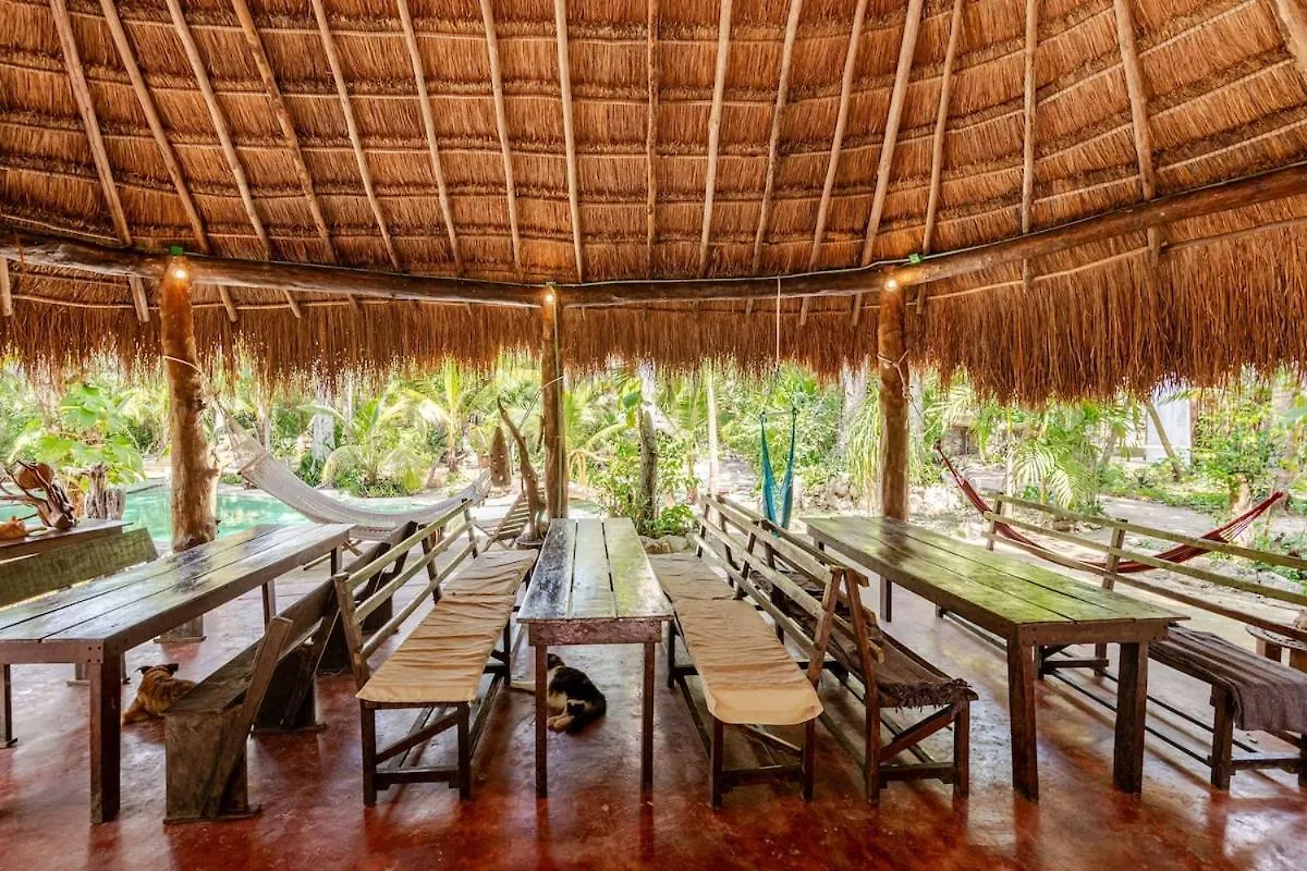 Cabana Zapote En Rancho Los Jaguares Jungle Retreat Tulum Campsite