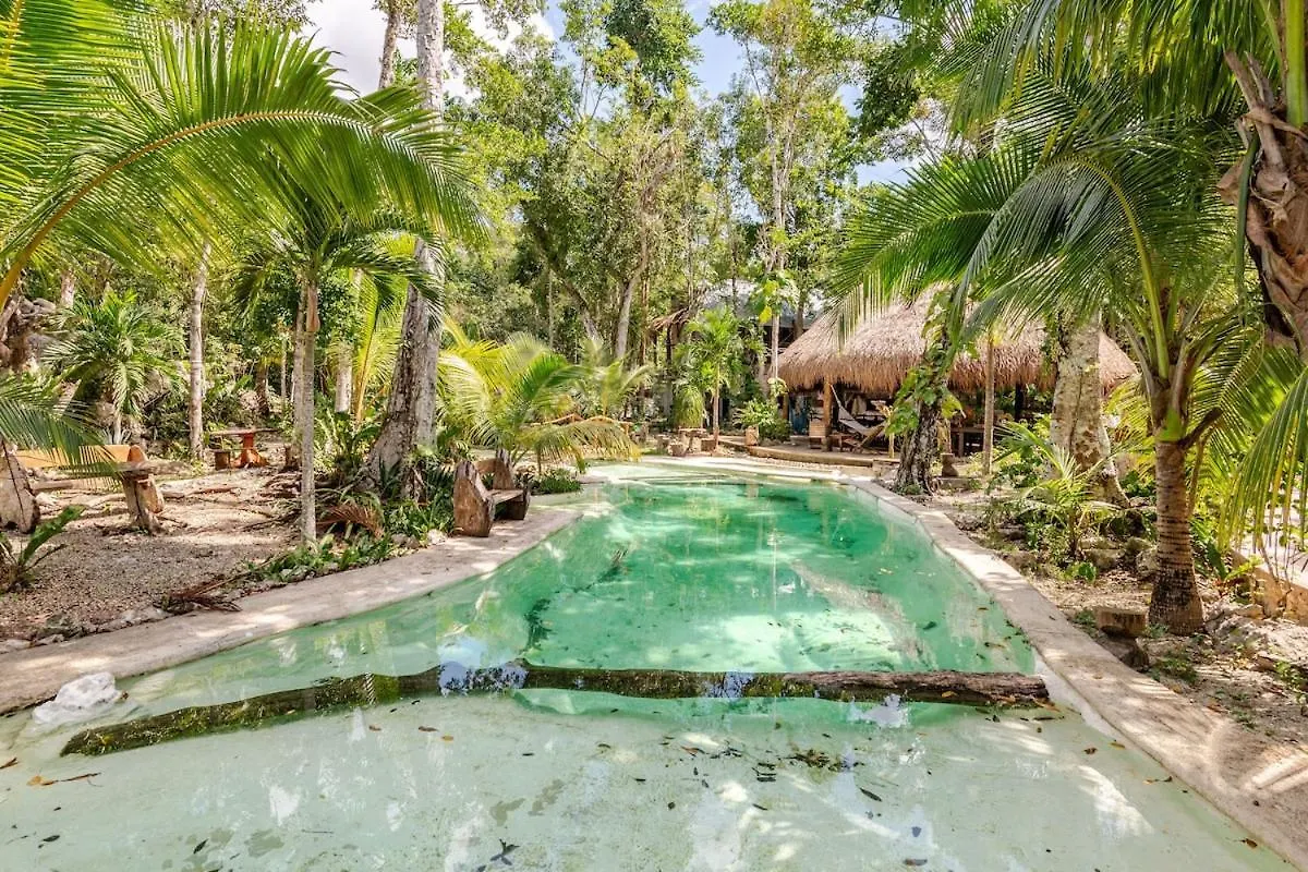Campsite Cabana Zapote En Rancho Los Jaguares Jungle Retreat Tulum Mexico