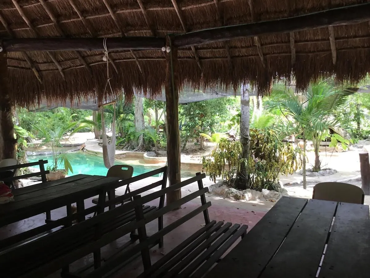 Cabana Zapote En Rancho Los Jaguares Jungle Retreat Tulum