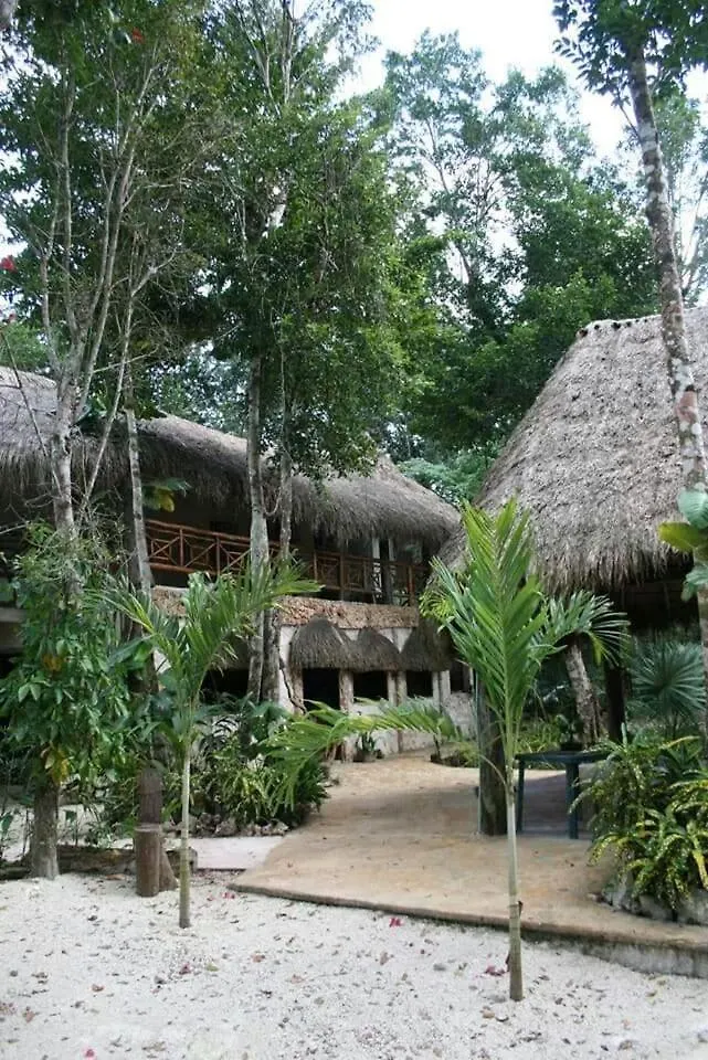 Cabana Zapote En Rancho Los Jaguares Jungle Retreat Tulum Campsite