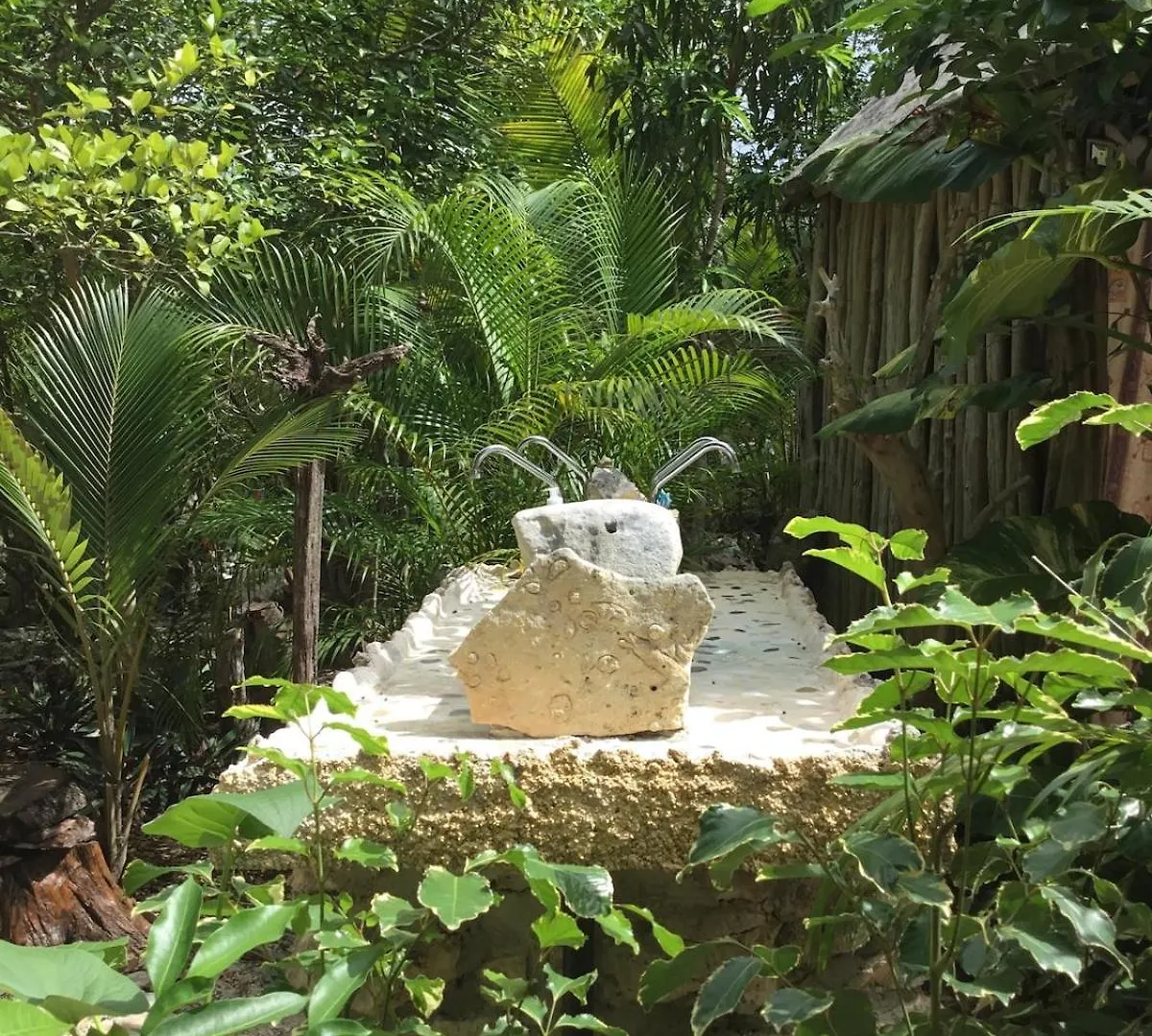 Cabana Zapote En Rancho Los Jaguares Jungle Retreat Tulum Campsite