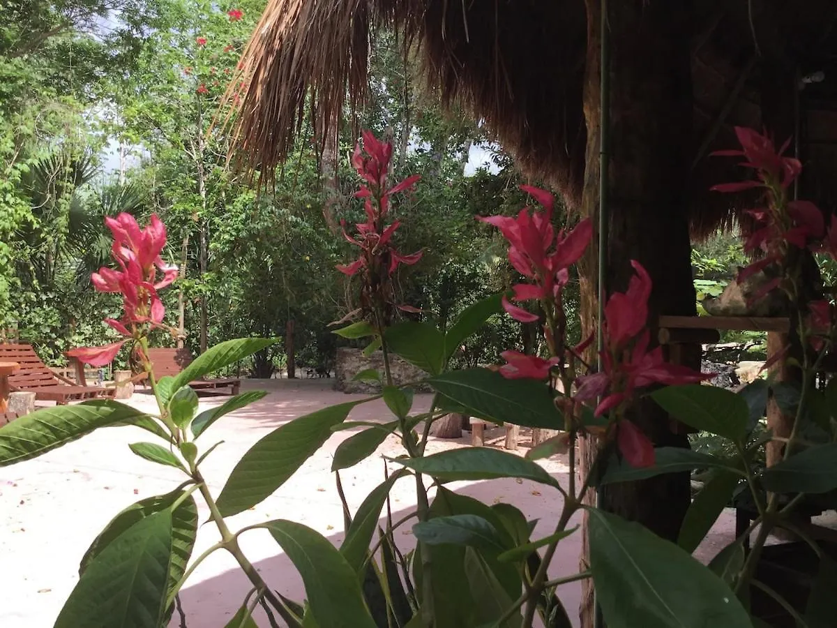 Cabana Zapote En Rancho Los Jaguares Jungle Retreat Tulum Campsite