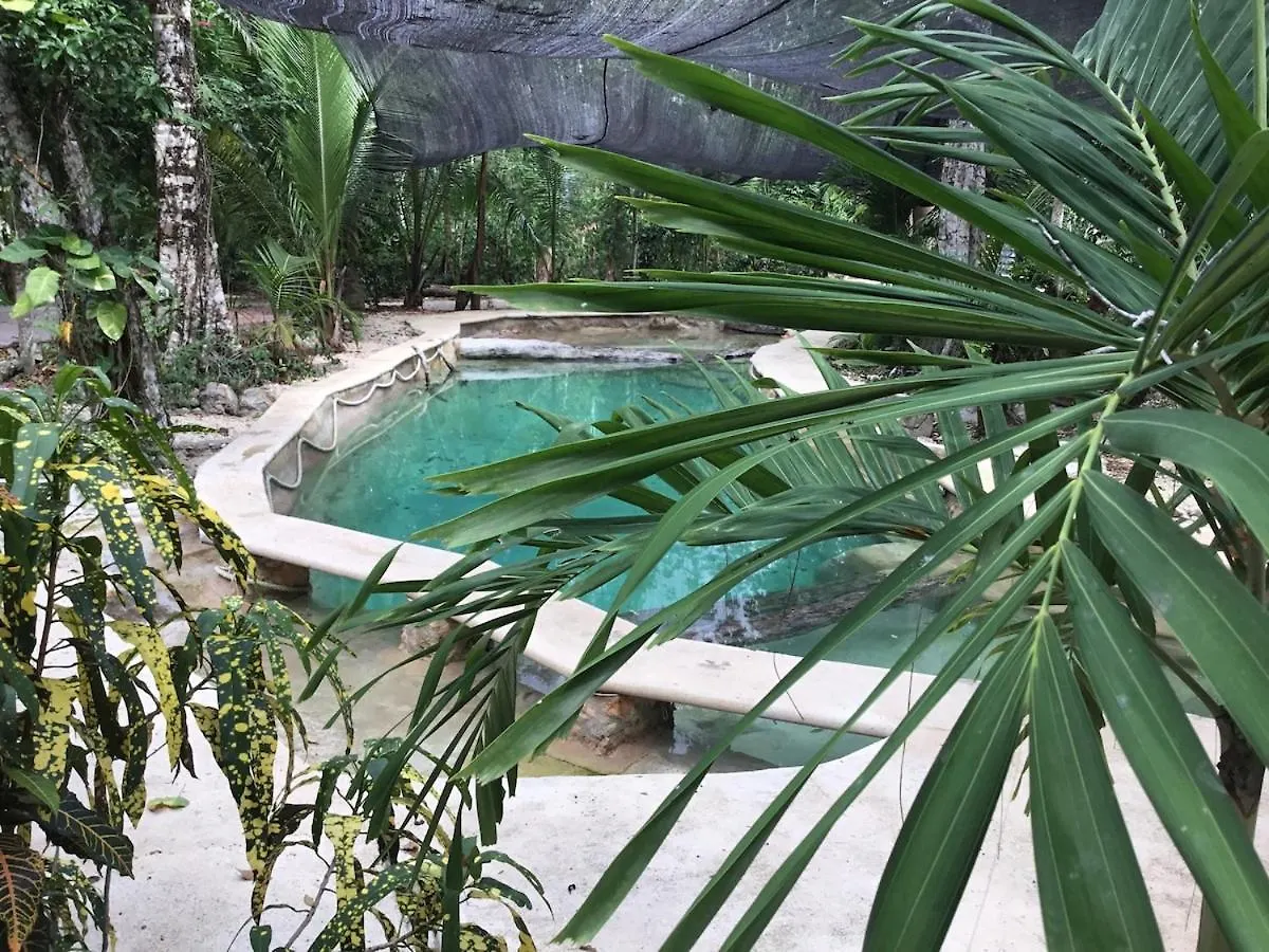 Cabana Zapote En Rancho Los Jaguares Jungle Retreat Tulum 0*,