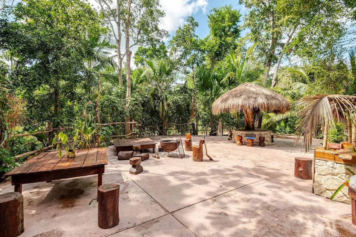 Cabana Zapote En Rancho Los Jaguares Jungle Retreat Tulum