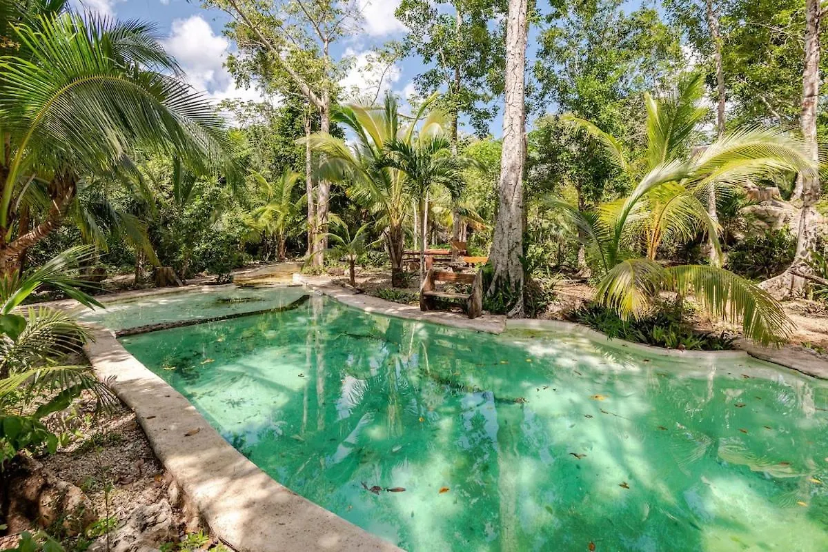 Cabana Zapote En Rancho Los Jaguares Jungle Retreat Tulum Campsite