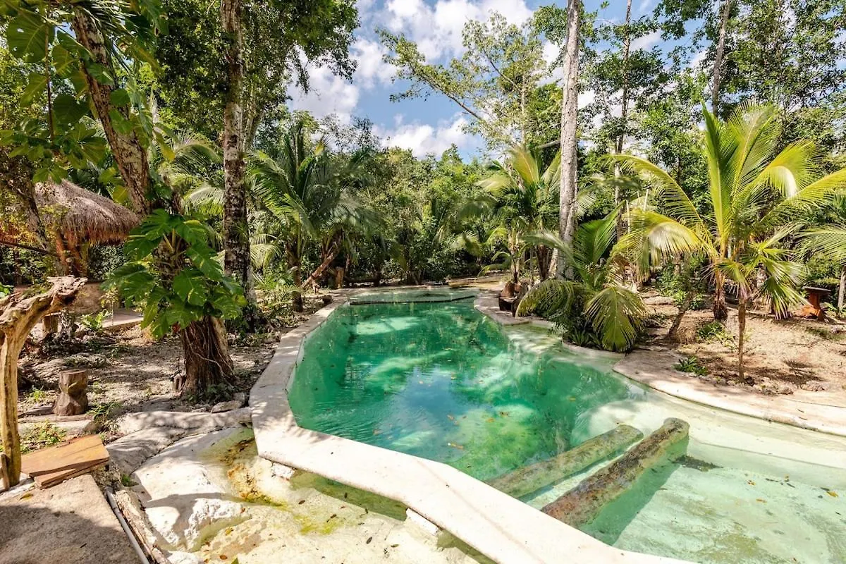 Campsite Cabana Zapote En Rancho Los Jaguares Jungle Retreat Tulum